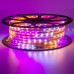 Мигающая светодиодная лента Multi-Color 220в smd2835 48led/m 6W/m герметичная, 1м